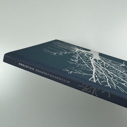 The Future. Christian Schmidt-Rasmussen | Galleri Nicolai Wallner, 2009 catalogue