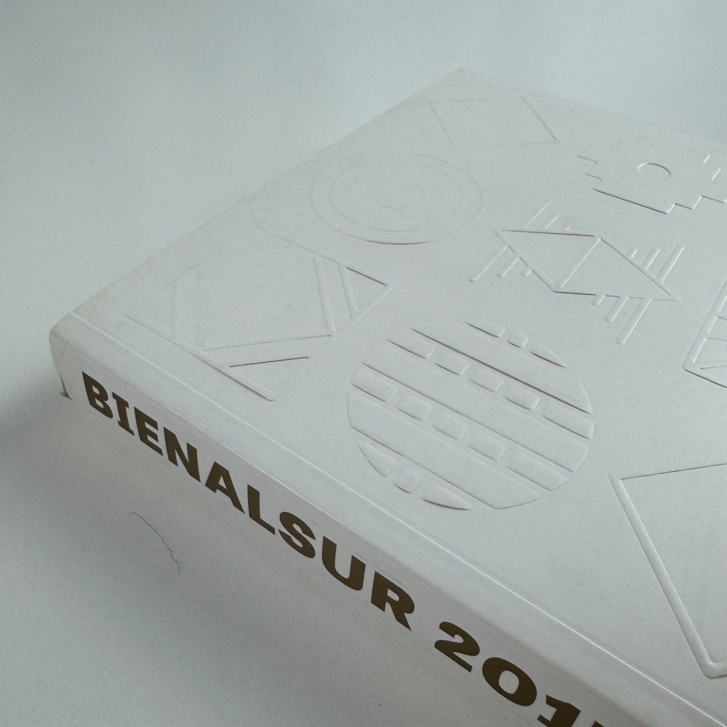 Bienalsur 2017. Universidad Nacional de tres de Febrero, 2018