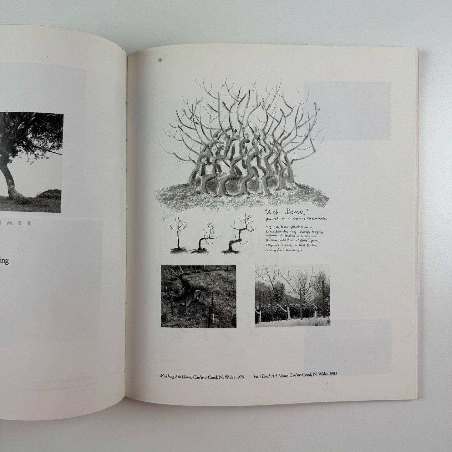 Wood Primer. The sculpture of David Nash | Bedford Arts, 1987