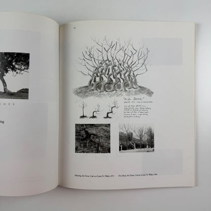 Wood Primer. The sculpture of David Nash | Bedford Arts, 1987