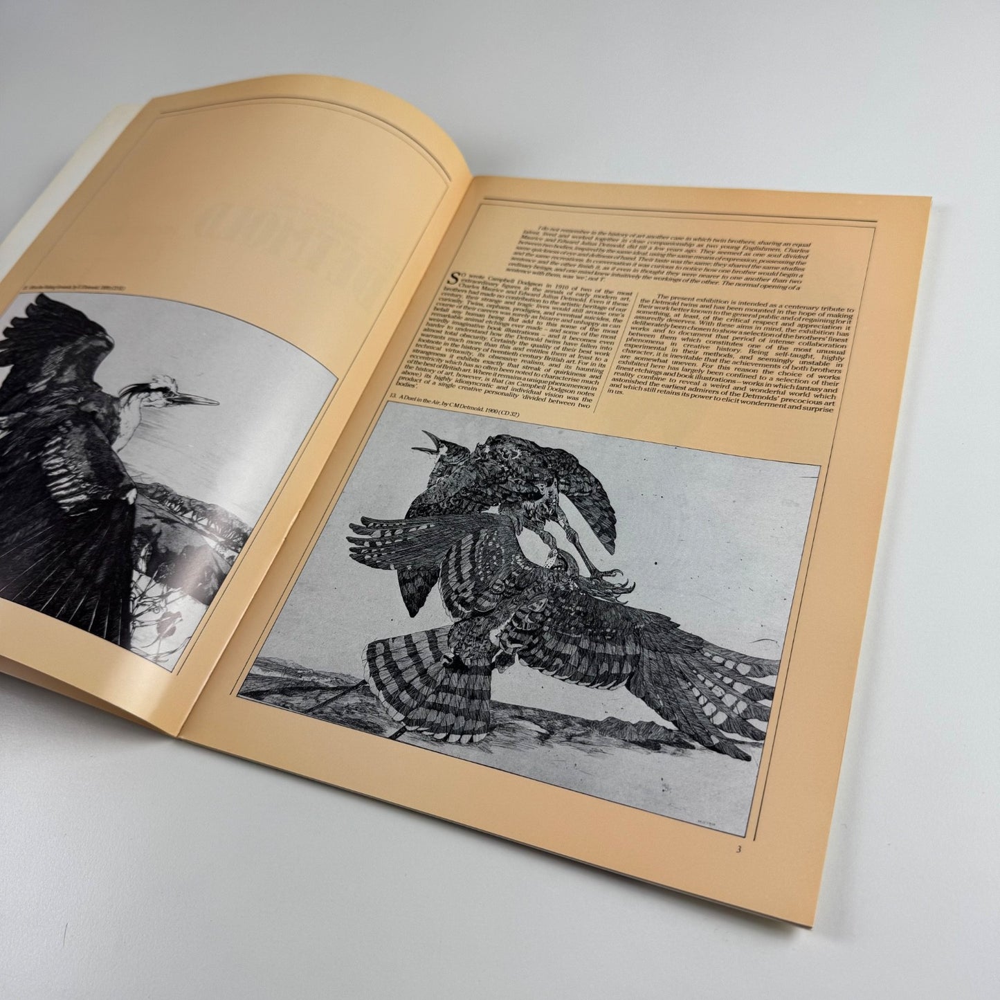 Charles Maurice and Edward Julius Detmold by Nicholas Alfrey & Richard Verdi | Heslington Hall, 1983/4