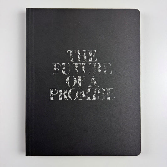 The Future of a Promise. Contemporary Art from the Arab World Venice Biennale, 2011