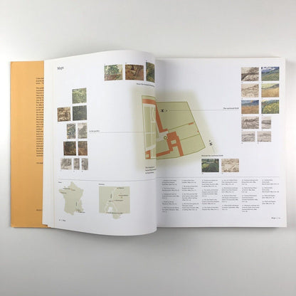 Van Gogh: Fields. The Field with Poppies and the Artists’ Dispute | Edited by Wulf Herzogenrath and Dorothee Hansen | Hatje Cantz, 2002