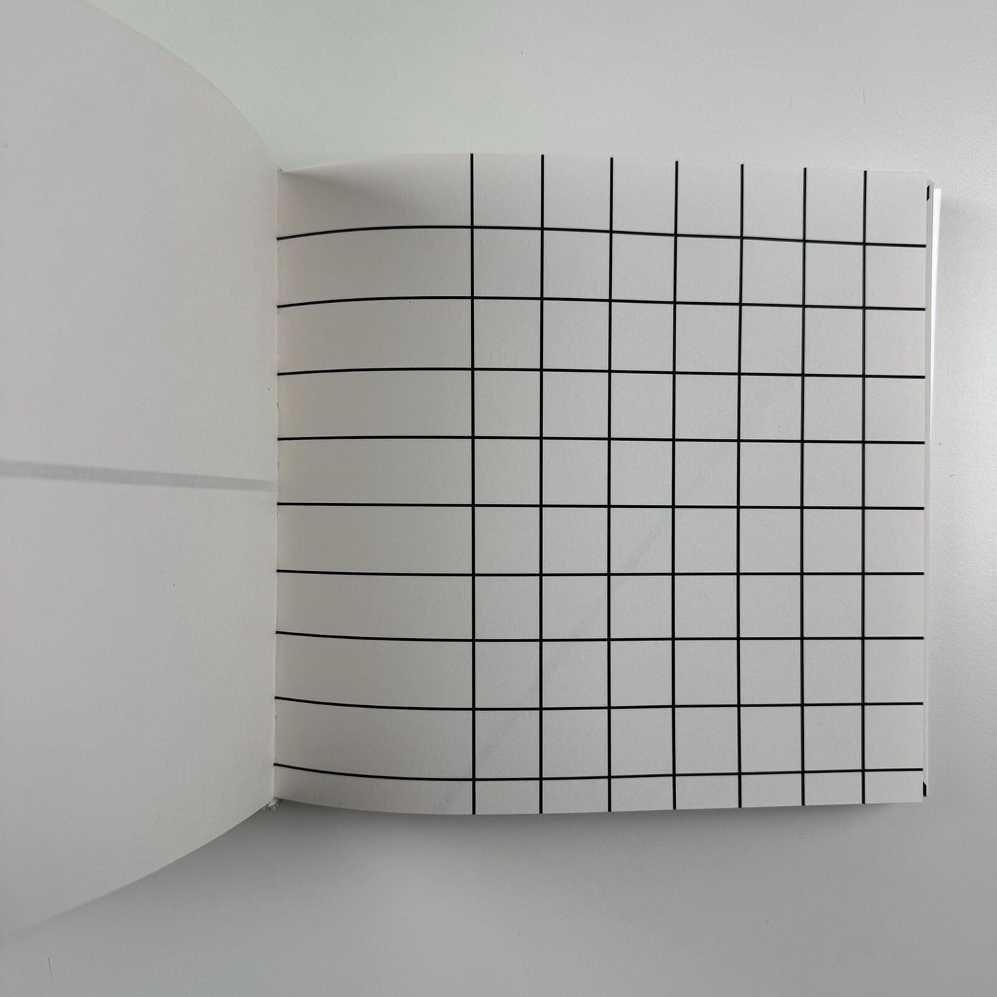 Ellsworth Kelly. Line Form Color by Harry Cooper | Harvard University Art Museum, 1999 | Signed by Kelly and numbered 49/100