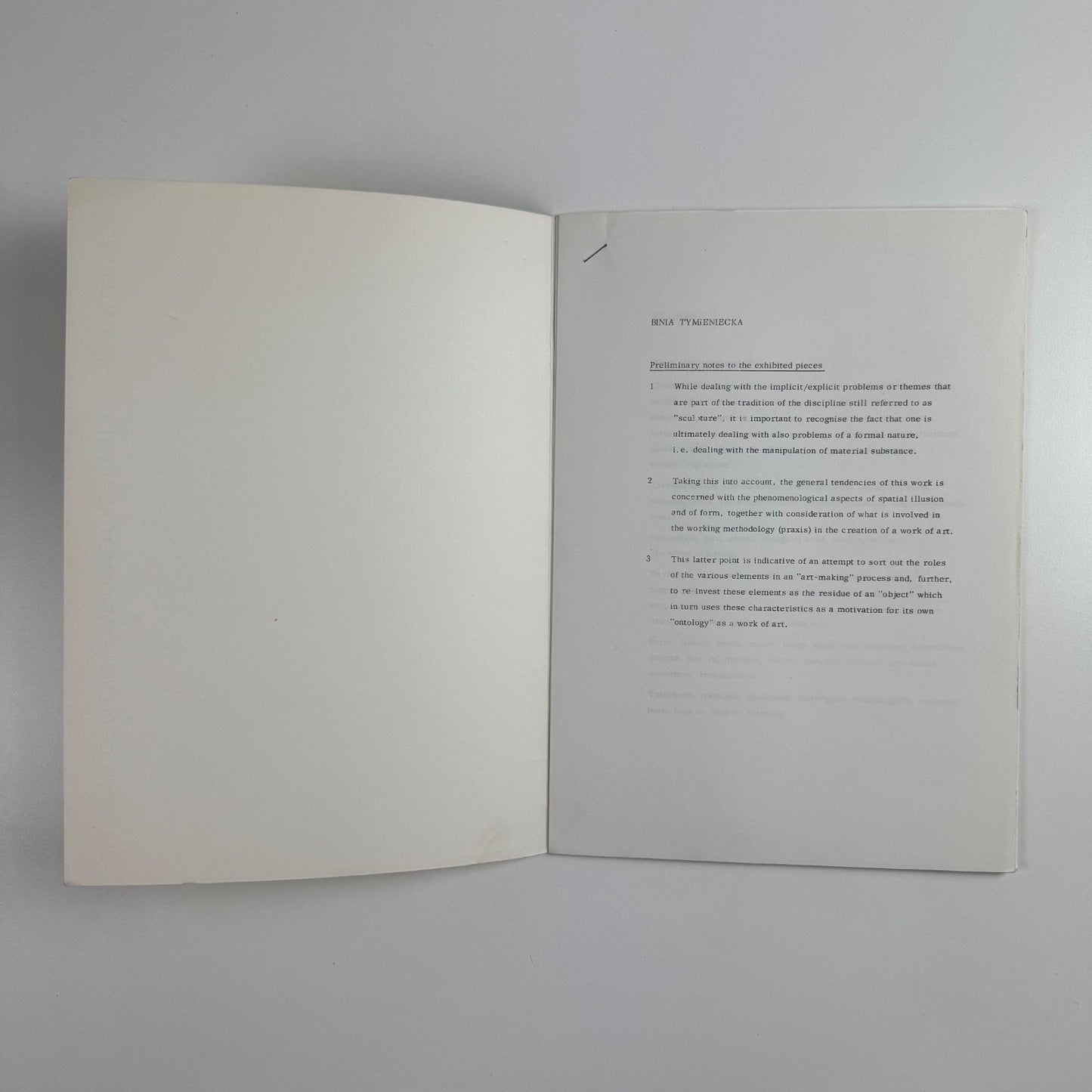 The Work of Eleven Environmental Artists | RCA Gallery, 1972