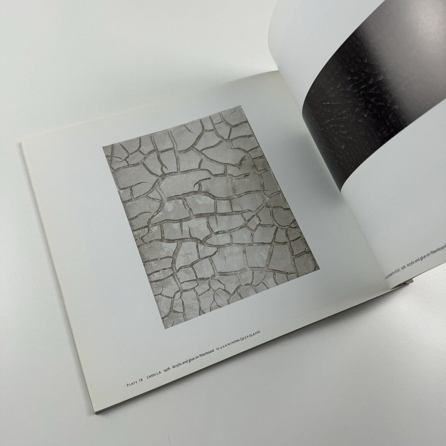 Combustione: Alberto Burri and America | Santa Monica Museum of Art catalogue, 2010