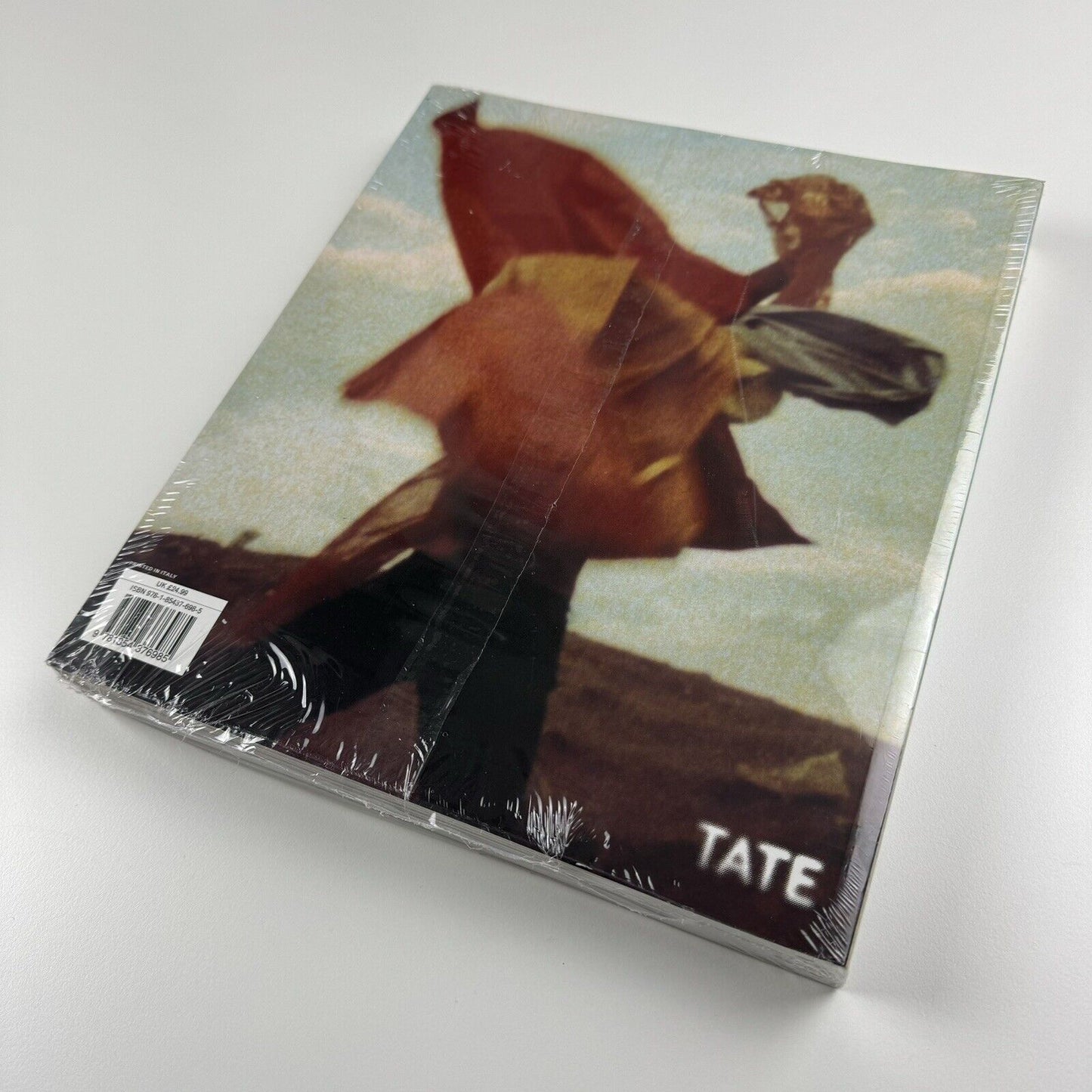 Hélio Oiticica. The Body of Colour | Museum of Fine Art Houston | Tate Modern, 2006/7