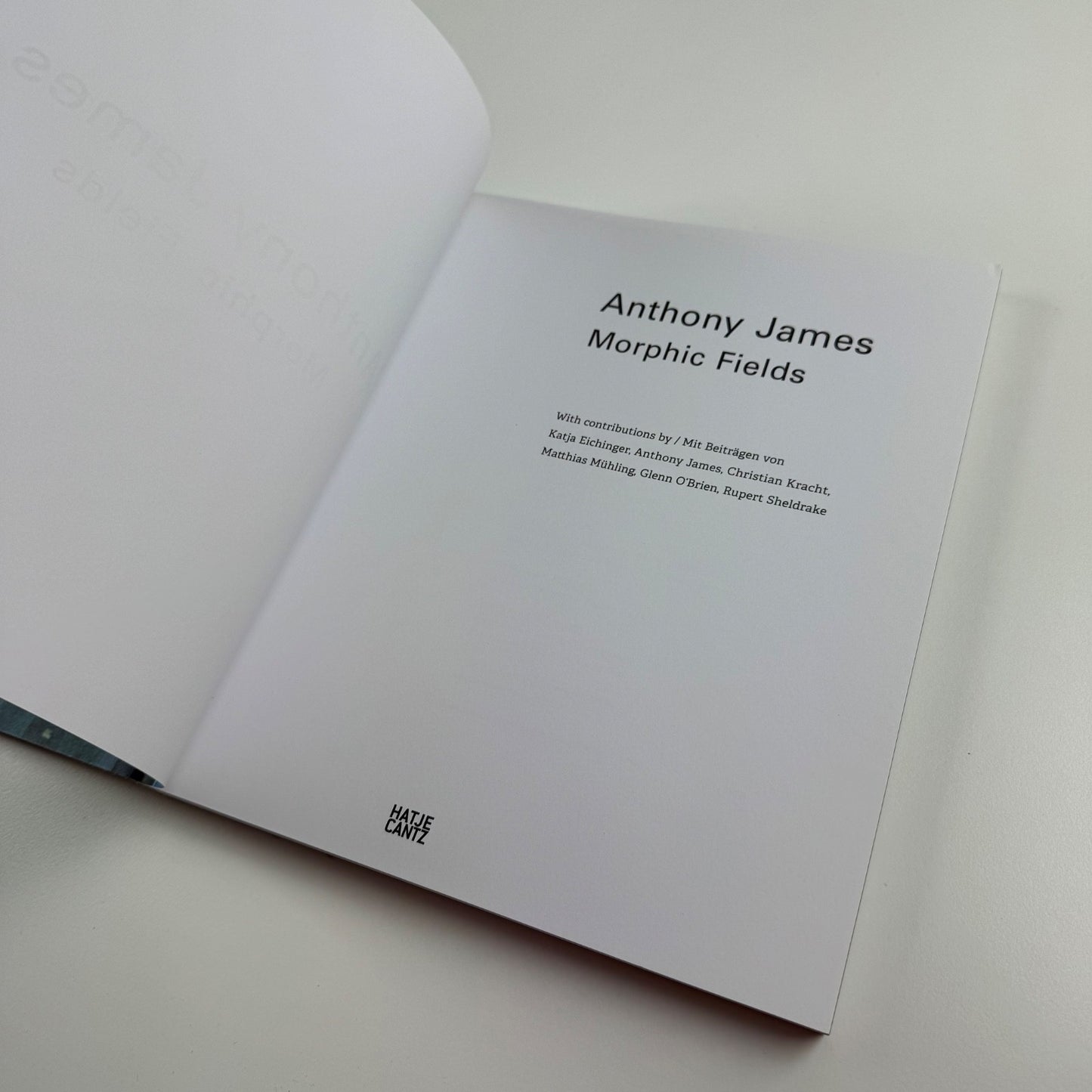 Anthony James. Morphic Fields - Skulpturen | Hatje Cantz, 2014