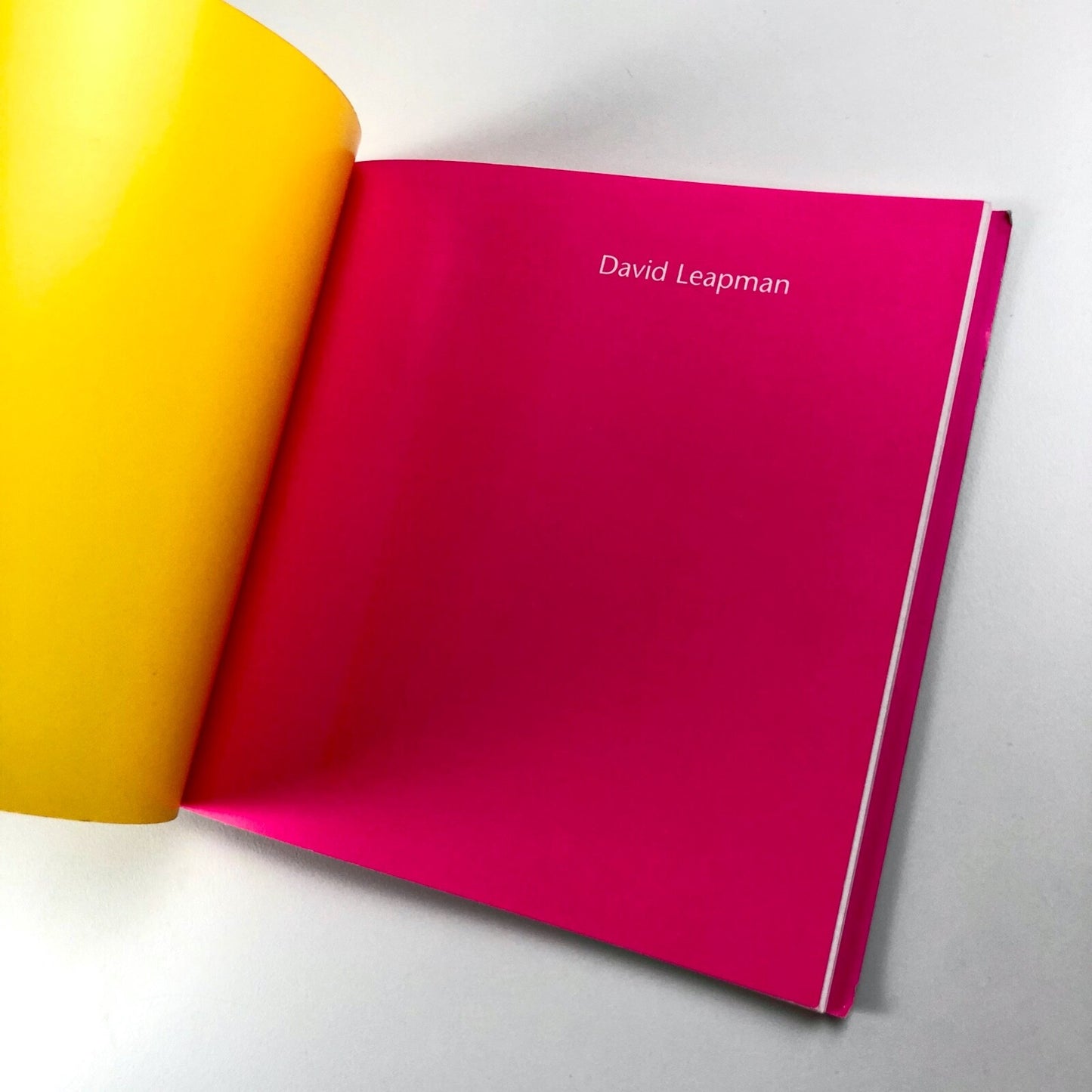 David Leapman | Beaux Arts exhibition catalogue, 2000