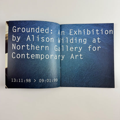 Grounded. Alison Wilding | Northern Gallery for Contemporary Art 1998/99