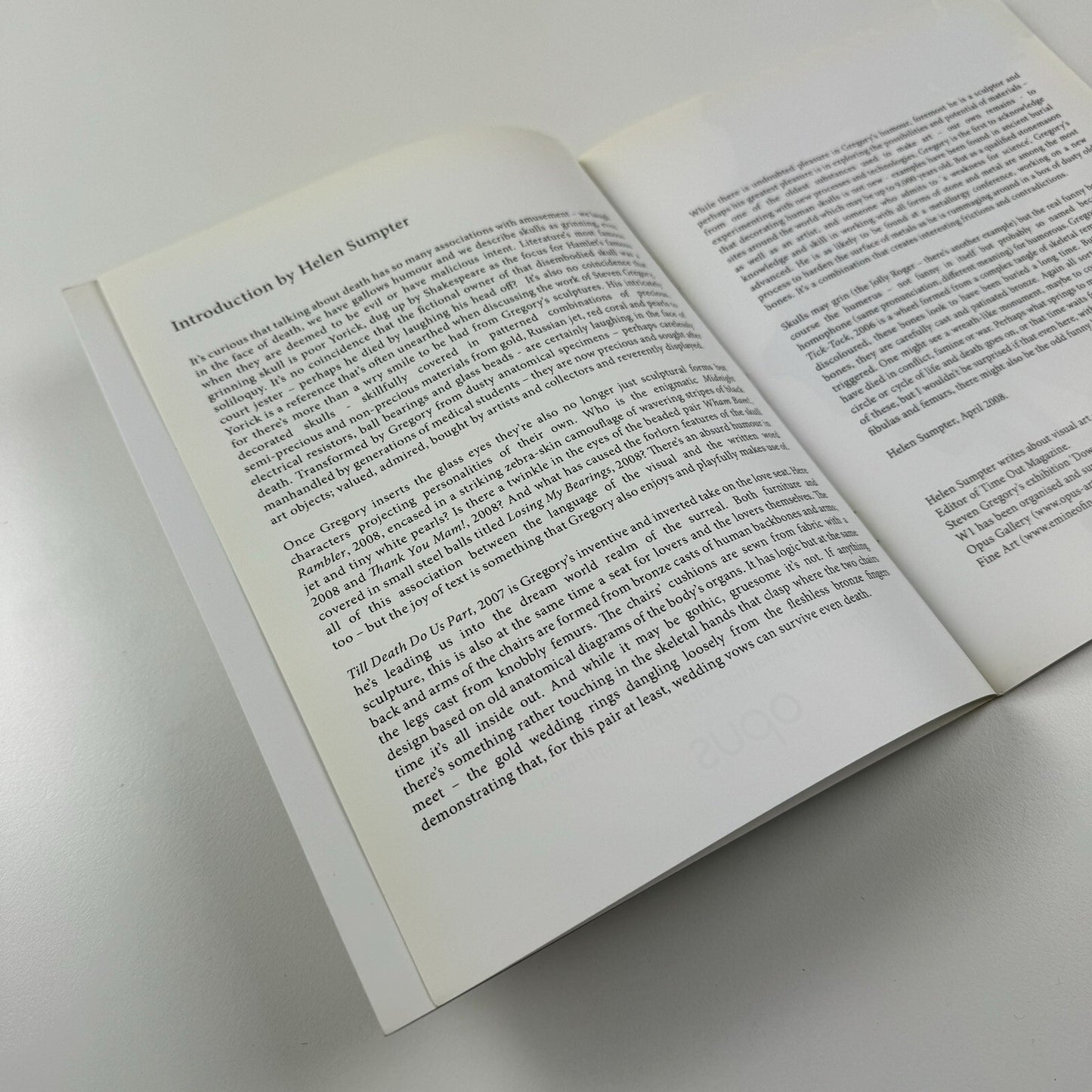 Steven Gregory. Down to the Bone | Opus Art/Trudie Stephenson exhibition catalogue, 2008