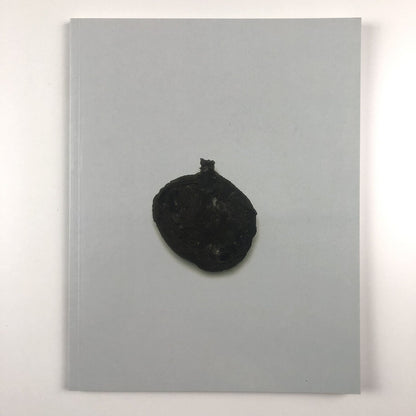 Cornelia Parker: Avoided Object | Foreword by Stuart Cameron 1996