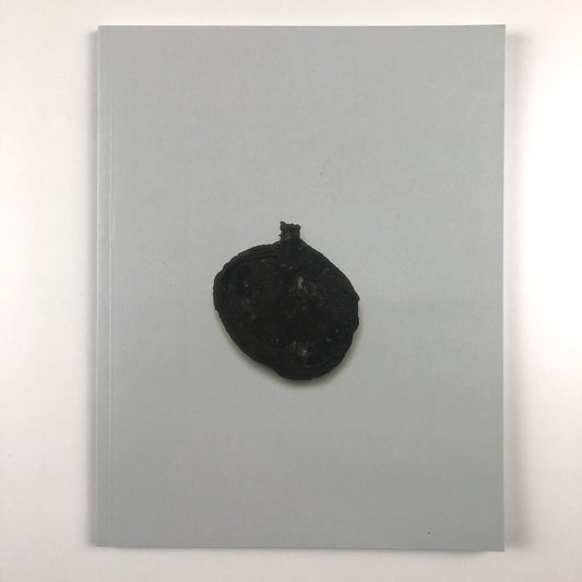 Cornelia Parker: Avoided Object | Foreword by Stuart Cameron 1996
