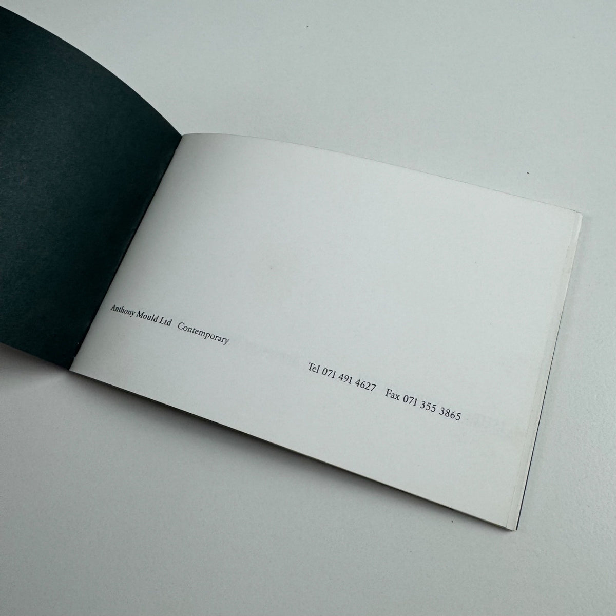 Ishbel Myerscough. A First View | Anthony Mould Contemporary, 1992