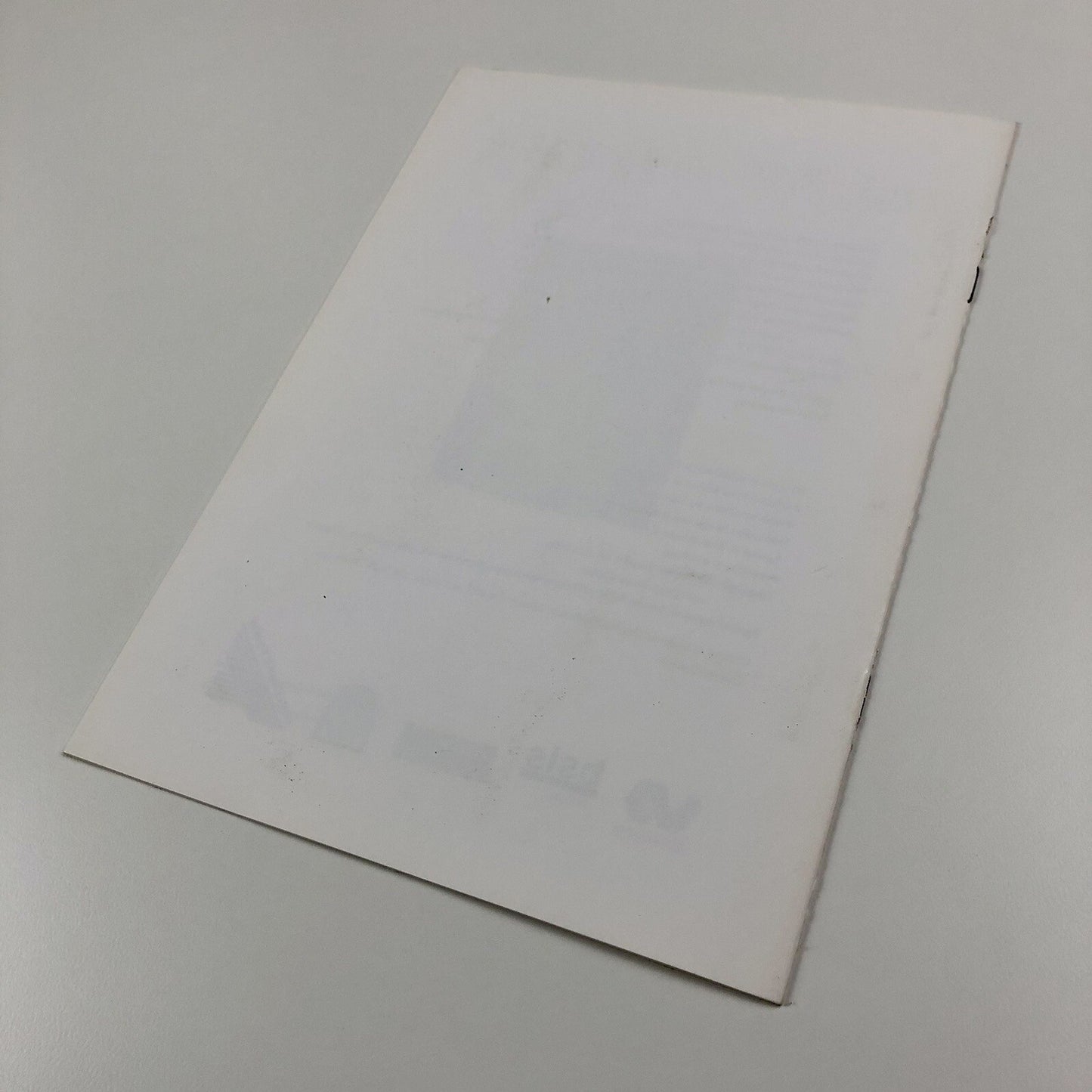 Urs Lüthi | Chapter (Cardiff) | Foreword by Stuart Cameron, 1994 leaflet