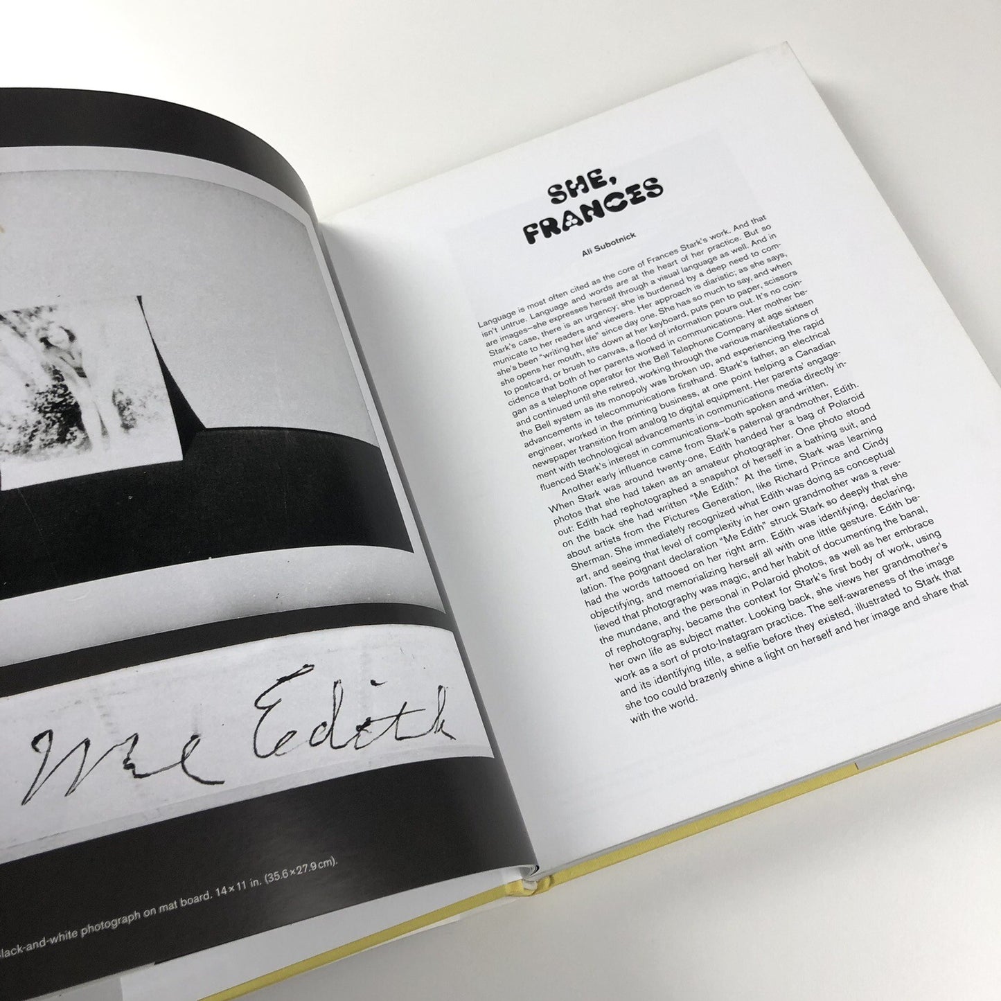 UH-OH Frances Stark 1991-2015 | Hammer Museum Prestel catalogue, 2015