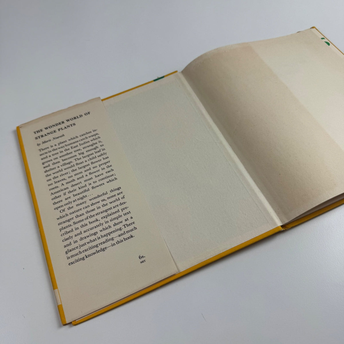 The Wonder World of Strange Plants by Marie Neurath | Max Parrish, 1956 Isotype Institute