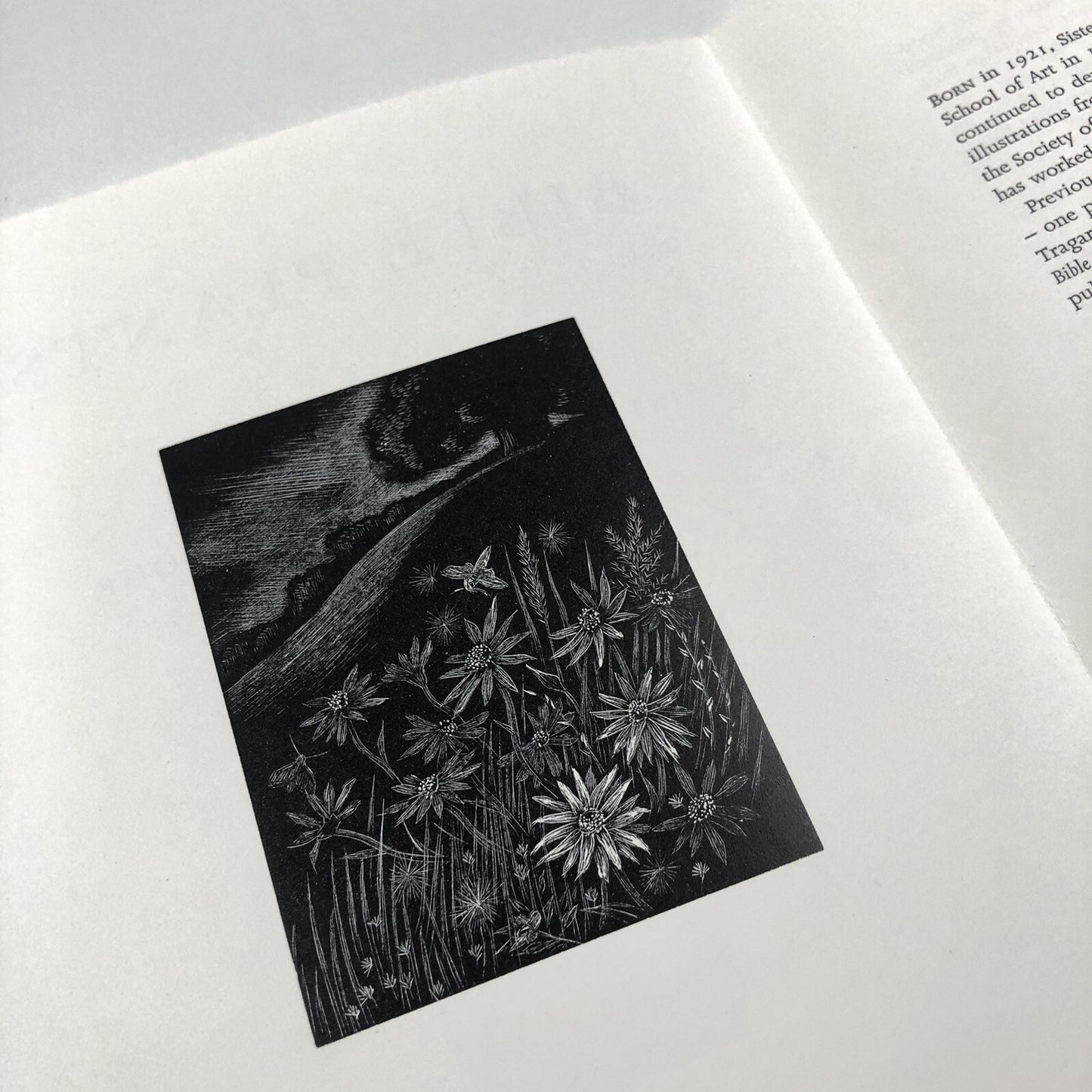 Prospectus – Bible Plants | Wood engravings by Sister Margaret Tournour | Clarion Publishing, 1999