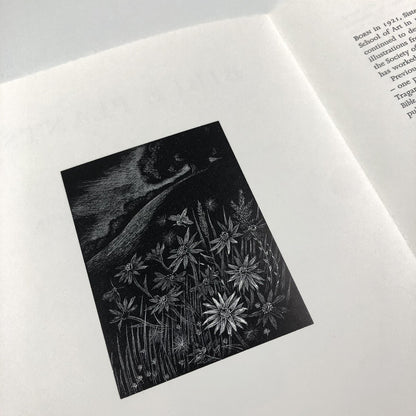 Prospectus – Bible Plants | Wood engravings by Sister Margaret Tournour | Clarion Publishing, 1999