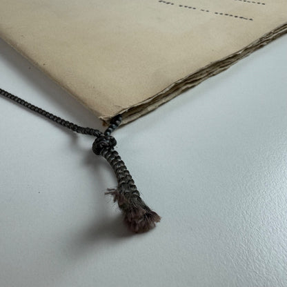 Il Pleut Apollinaire Chez Lui Guillaume Apollinaire. Galerie Apollinaire, 1947