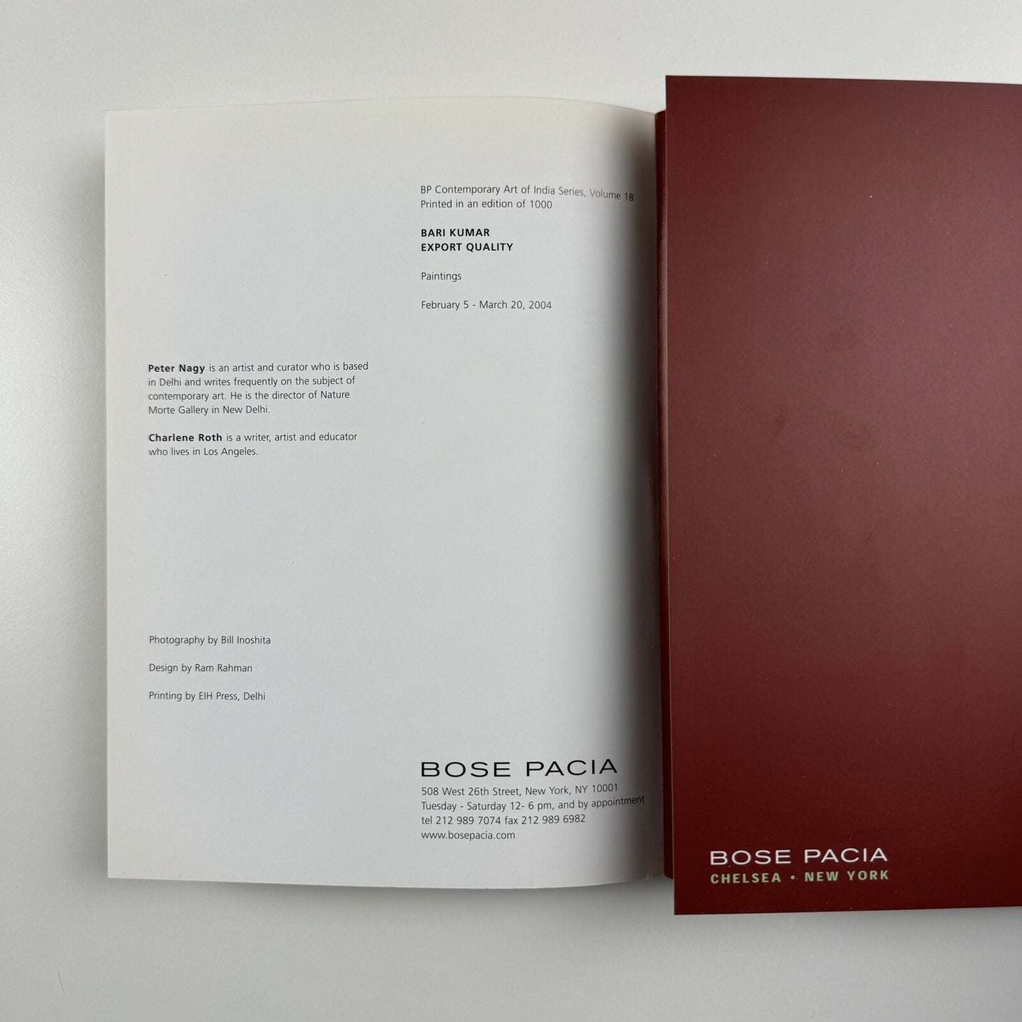 Export Quality 2004. Paintings by Bari Kumar | Bose Pacia Gallery, New York 2004 catalogue