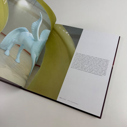 Hamra Abbas. Object Lessons | Green Cardamon, 2009
