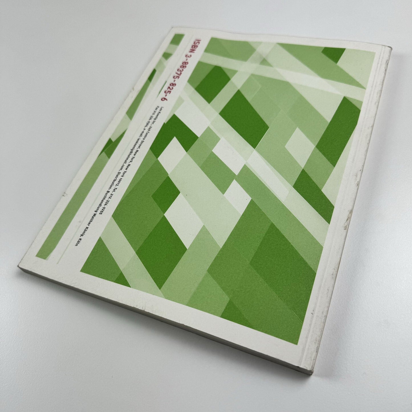 Torben Giehler. Essay by Merrily Kerr | Leon Koenig, New York, 2004
