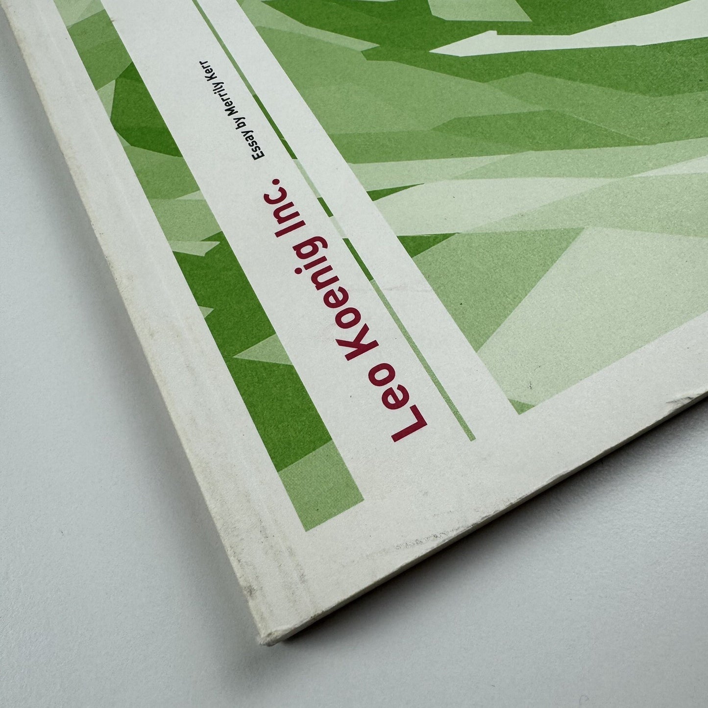 Torben Giehler. Essay by Merrily Kerr | Leon Koenig, New York, 2004