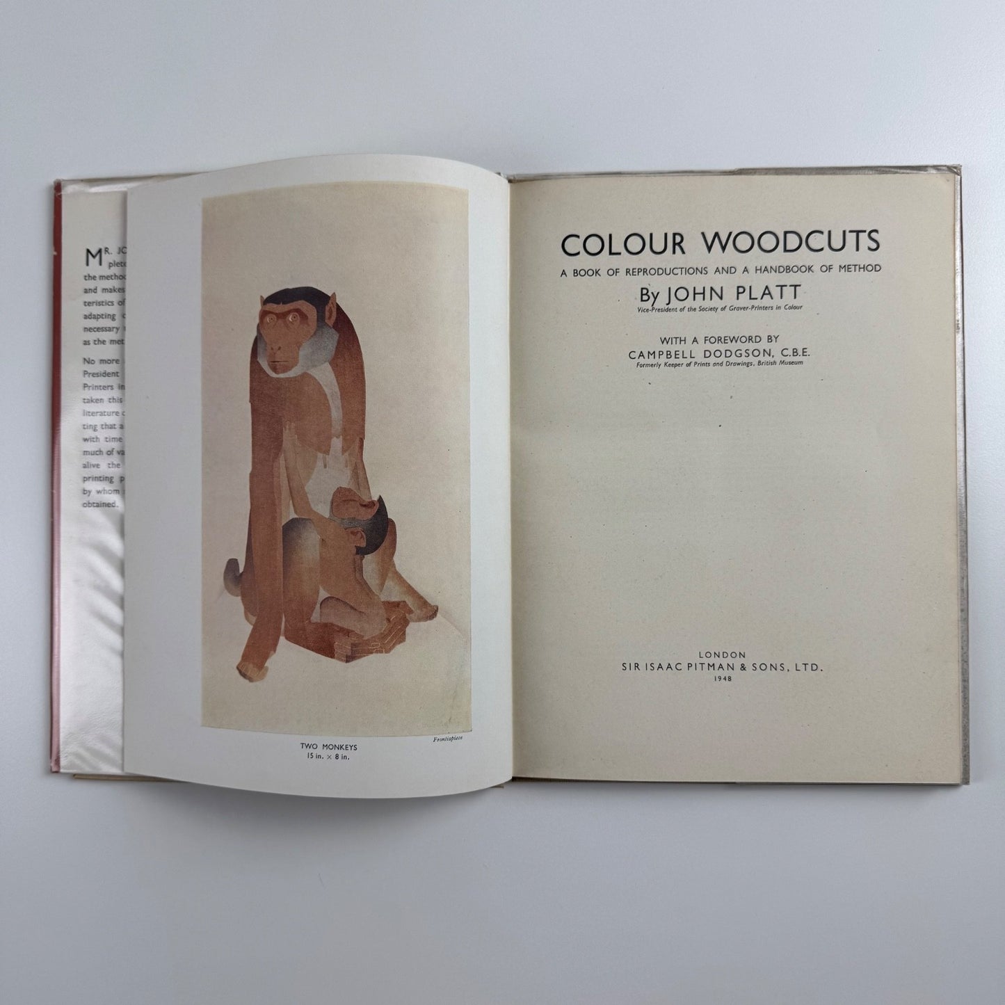 Colour woodcuts by John Platt | Pitman The Student’s Art Books, 1948