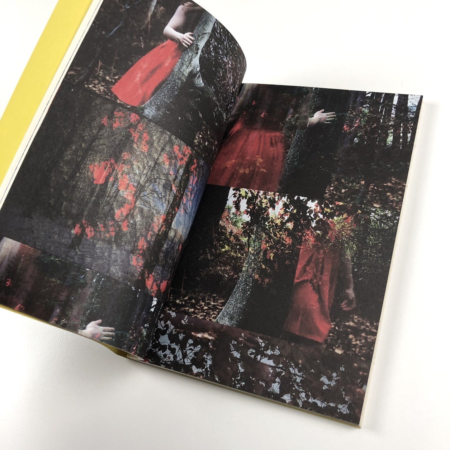 Helen Sear ... the rest is smoke | Wales in Venice biennale catalogue, 2015