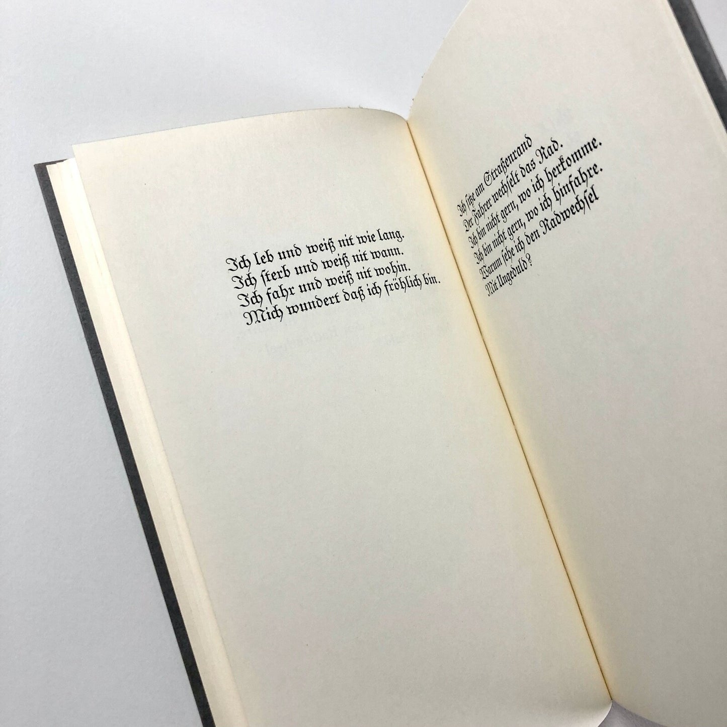 Schrift ist nicht nur zum Lesen da. Eine Studie über den Charakter der Schrift von Peter Willberg | D. Stempel AG, 1982 | Limited edition, numbered 77