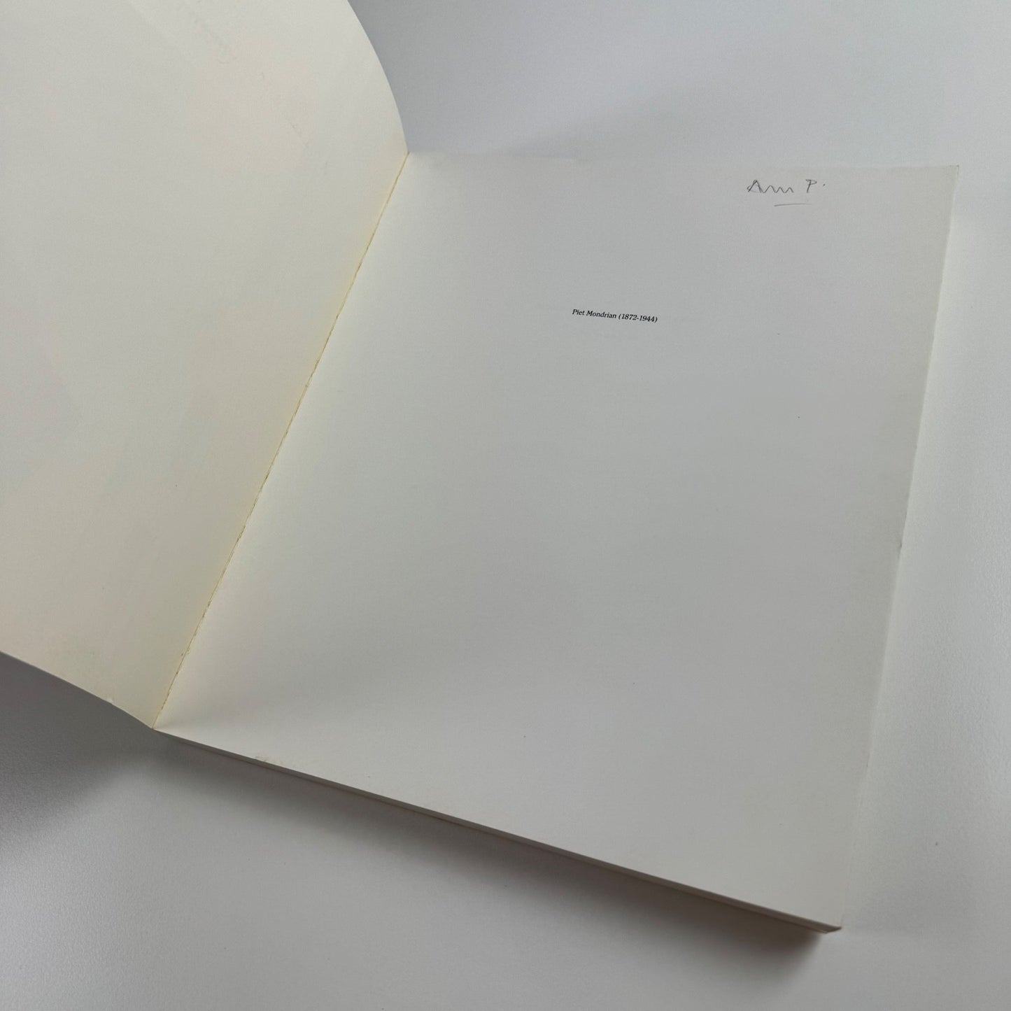 Mondrian from figurations to abstraction by Herbert Henkels 1988