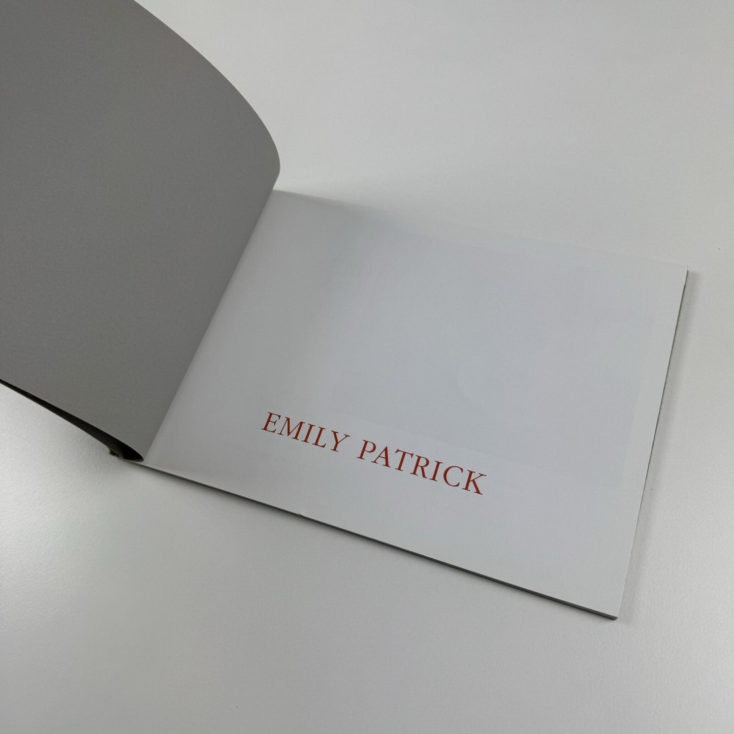 Emily Patrick – Recent Paintings 2002-2005 | The Air Gallery catalogue, 2005