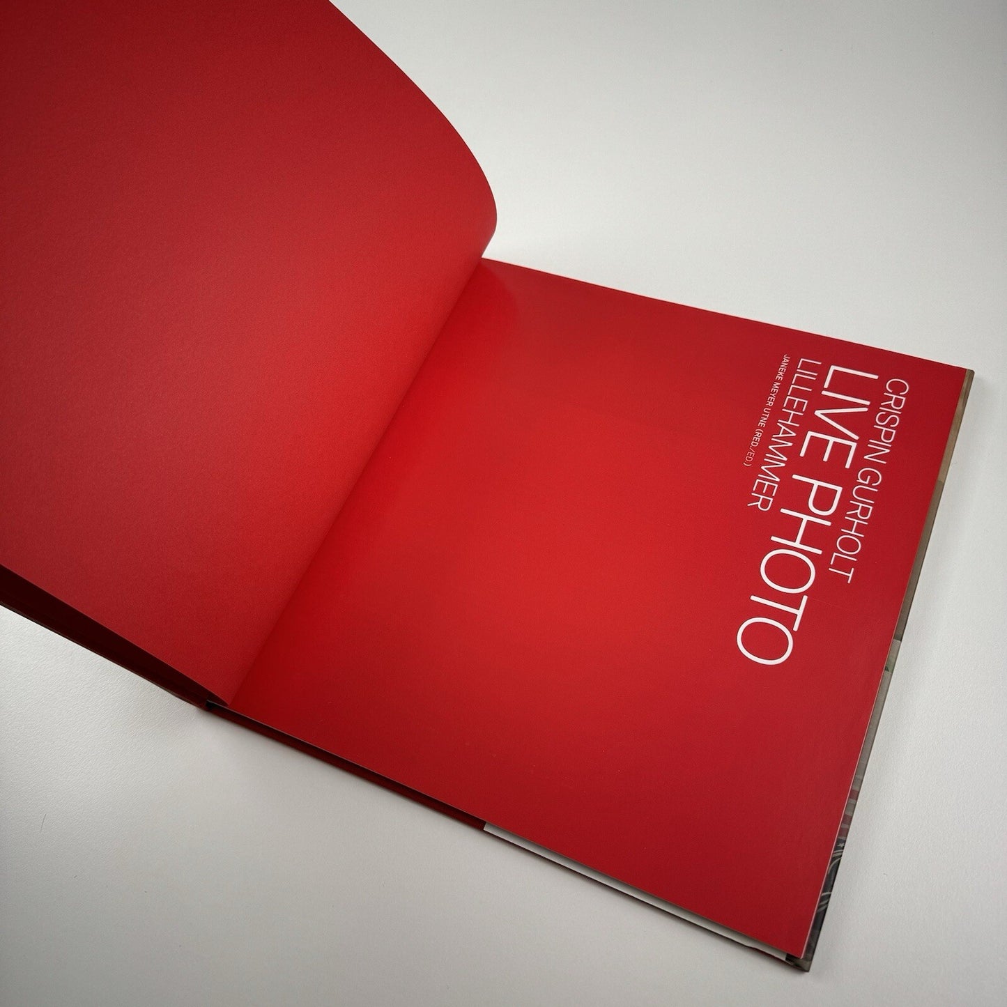 Crispin Gurholt. Live Photo | Lillehammer Kunstmuseum exhibition catalogue, 2012