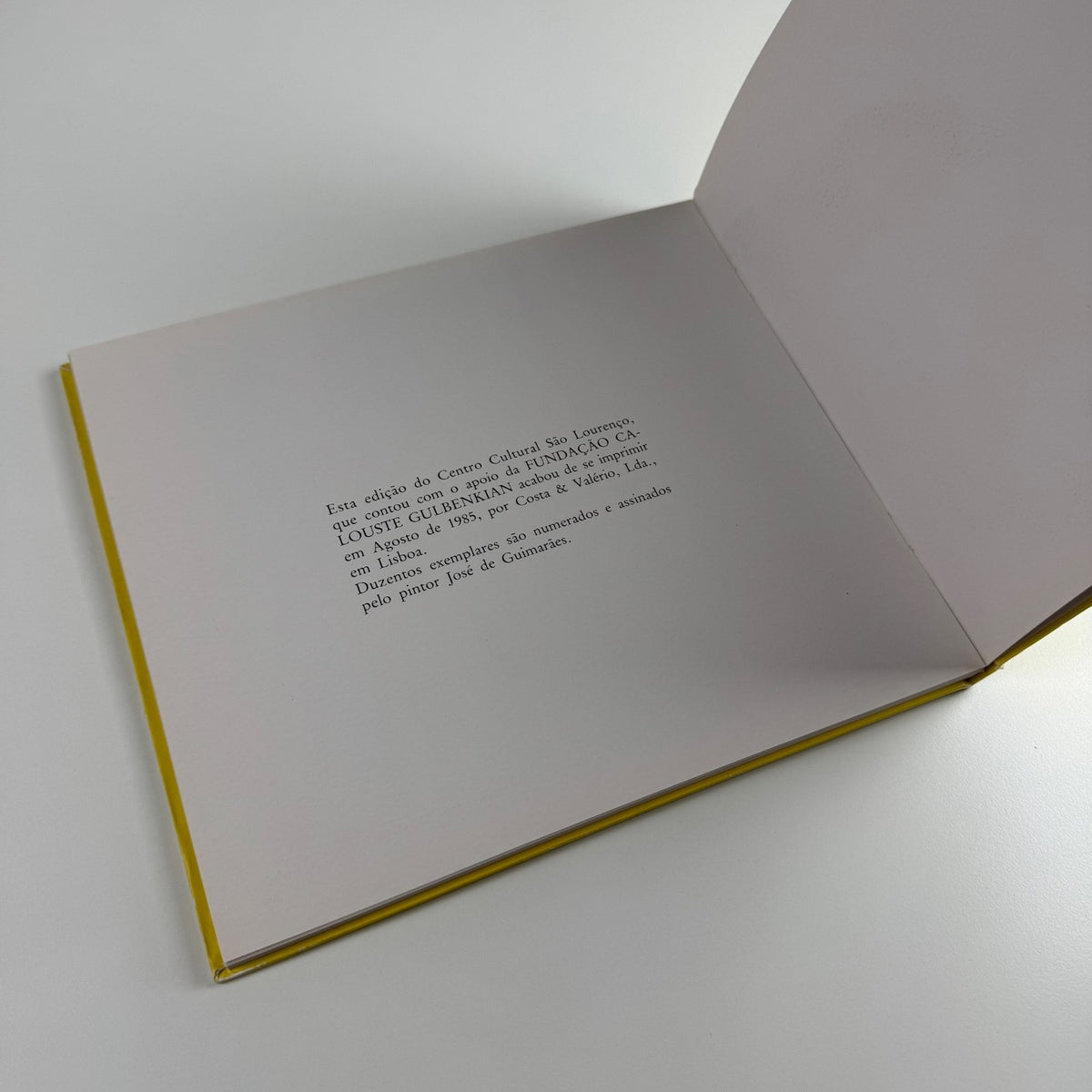 José de Guimarães. Esculturas e Pinturas | Marie & Volker Huber, 1985