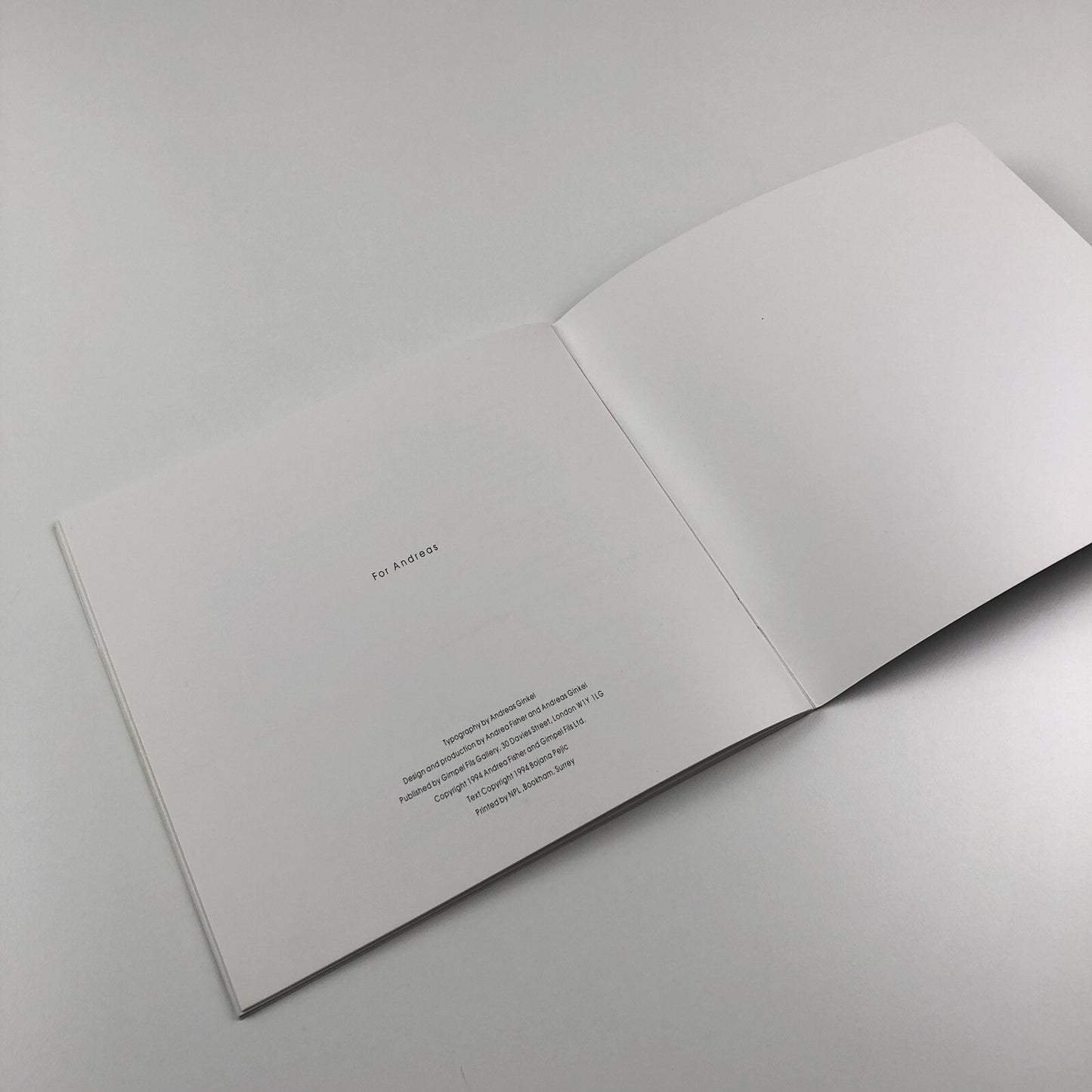 Andrea Fisher – Gimpel Fils exhibition catalogue, 1994