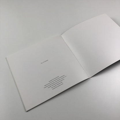 Andrea Fisher – Gimpel Fils exhibition catalogue, 1994