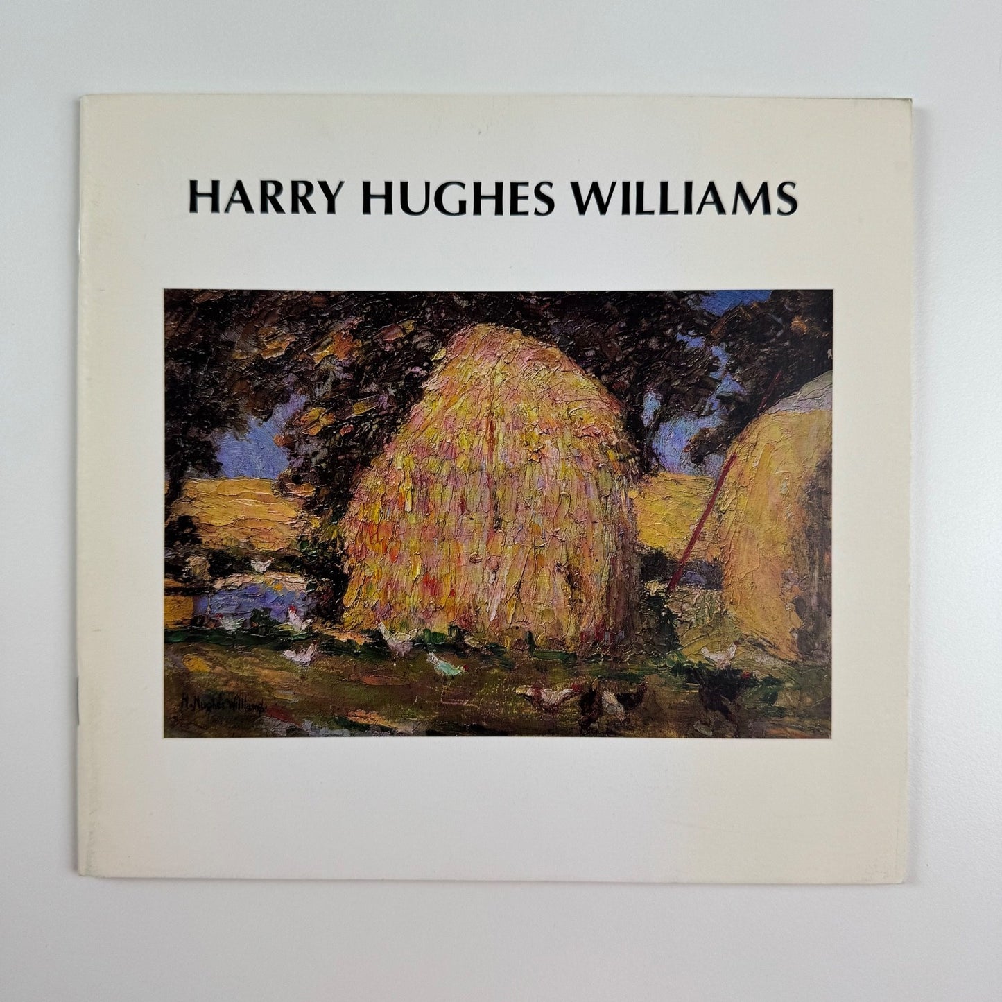 Harry Hughes Williams | Oriel Ynys Môn, 1992