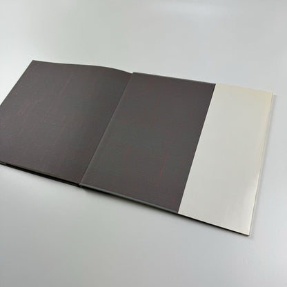Sie suchen uns. Eine Geschichte von Armin Krämer zu Bildern von Kai Althoff | Galerie Neu, Berlin, 2001