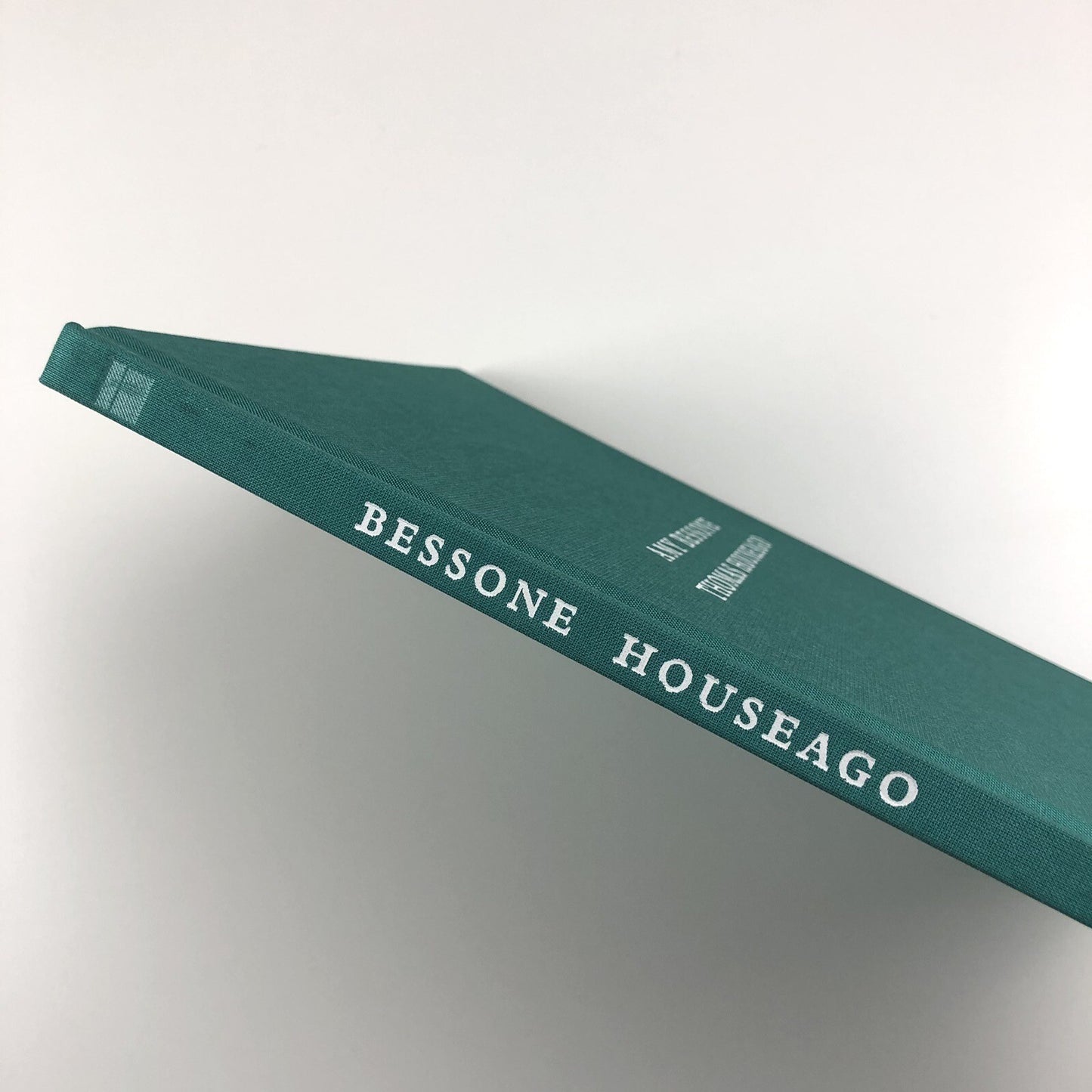 Amy Bessone / Thomas Houseago | Rennie Collection, Wing Sang, Vancouver | 2011 catalogue