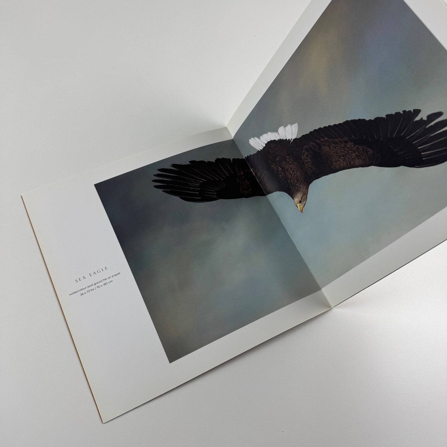 Tim Hayward. Birds of Prey | Jonathan Cooper, undated