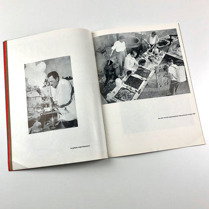 Pinot Gallizio | Stedelijk Museum exhibition catalogue | Cat. no. 241, 1960