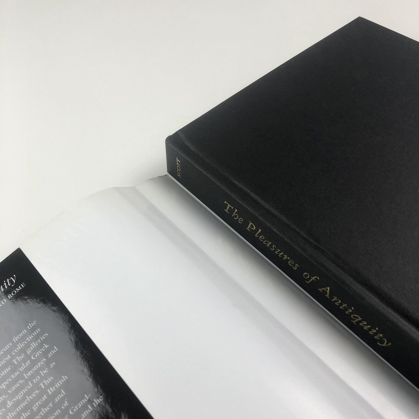 The Pleasures of Antiquity. British Collectors of Greece & Rome | Jonathan Scott, 2003