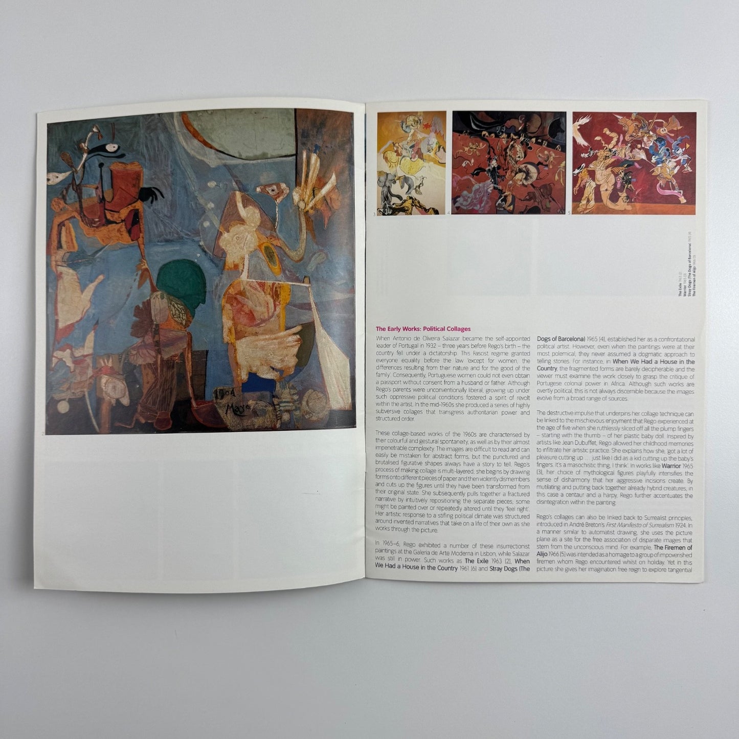 Gallery guide for Paula Rego in focus | Tate Britain, 2004