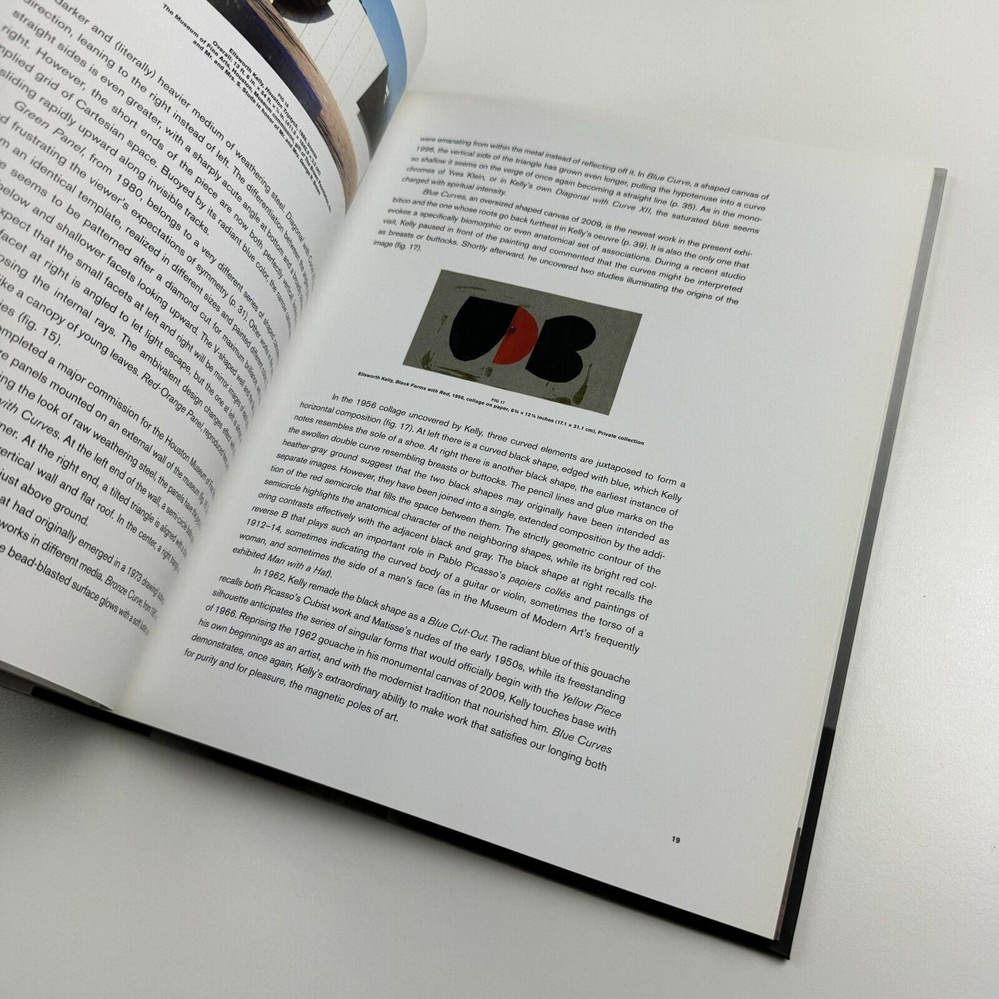 Ellsworth Kelly: Singular Forms 1966-2009 | | Exhibition catalogue | Mnuchin Gallery / Matthew Marks Gallery, 2013