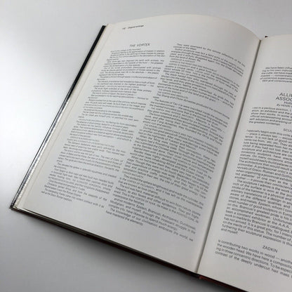 Burning to Speak – The Life and Art of Henri Gaudier Brzeska, by Roger Cole | Phaidon, 1978