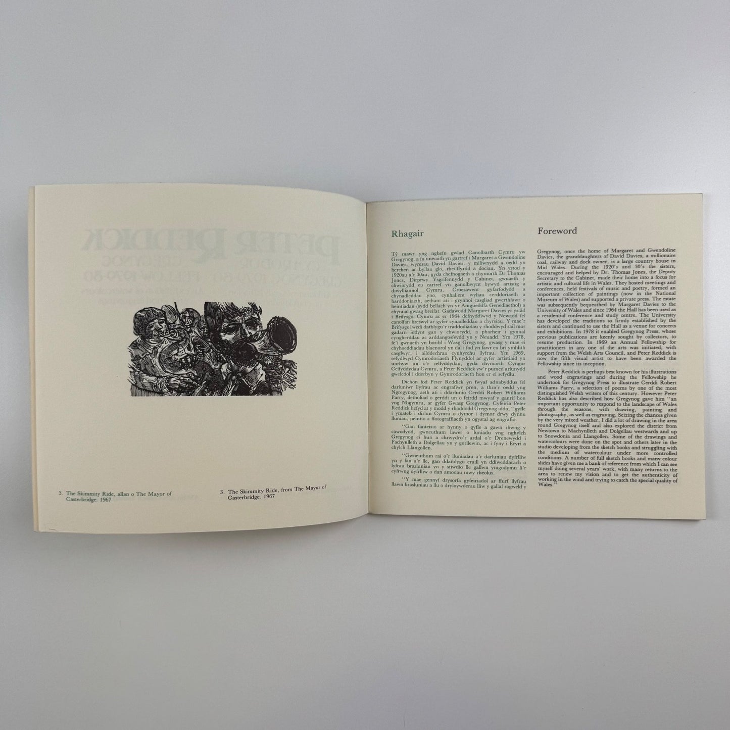 Peter Reddick. Gregynog Fellow 1979-80 | Welsh Arts Council, 1981