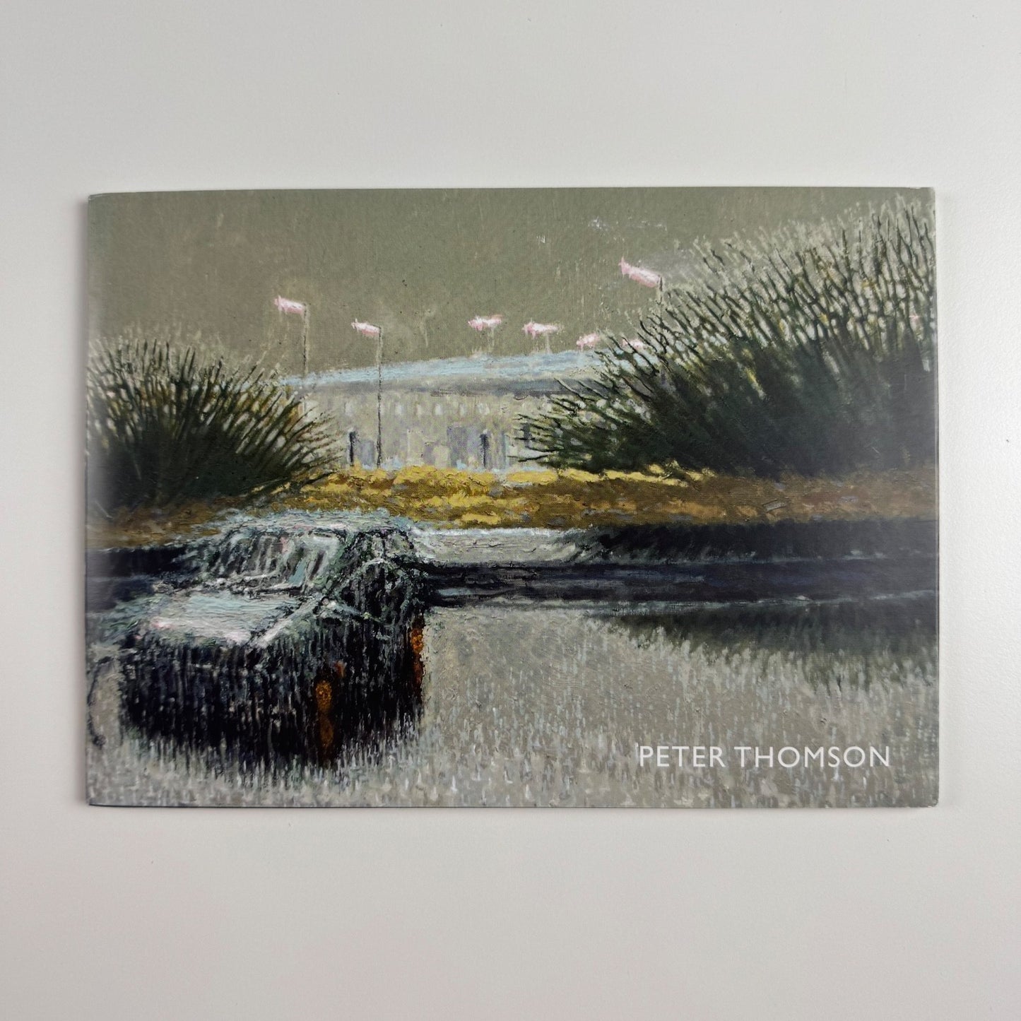 Peter Thomson. Wild observations of a tamed landscape | Lemon Street Gallery 2016