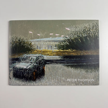 Peter Thomson. Wild observations of a tamed landscape | Lemon Street Gallery 2016