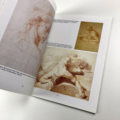 Techniques of Drawing from the 15th to 19th centuries | Ashmolean Museum | By Ursula Weekes